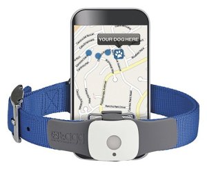 GPS Collar with Tracking App for Phone